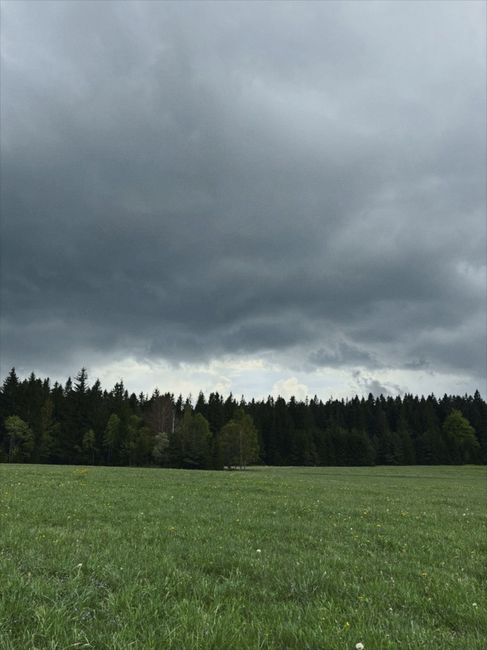 FOTO: Jitka Boho sdílela fotky přírody. – stránka 6