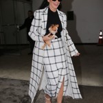Demi Moore nosí kostkované kousky v klasickém černo-bílém barevném provedení. Pouzdrový střih sukně, kterou má herečka na sobě, bude letos velkým hitem.