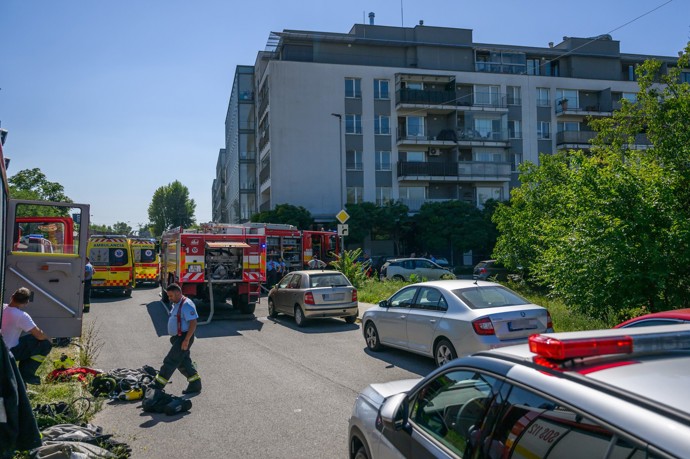 FOTO: Hasiči vynášeli z bytu mrtvá tělíčka – stránka 2