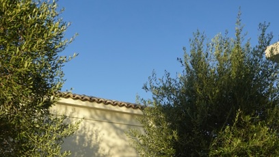 FOTO: Charlotte Ella Gottová na snímku z dovolené.