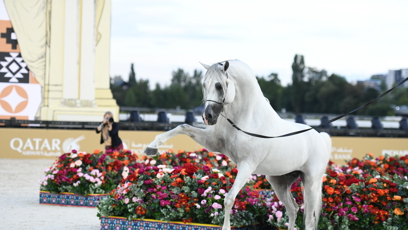 FOTO: Koně předváděli všelijaké kousky.