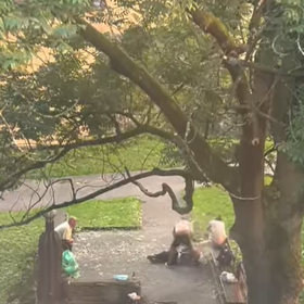 Do ženy kopal i druhý z mužů.