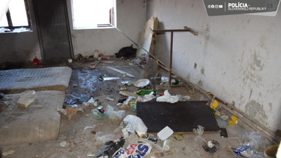 FOTO: V těchto podmínkách pejsek žil.