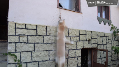 FOTO: Pejsek zemřel poté, co se snažil dostat ven, aby si zajistil jídlo a vodu.