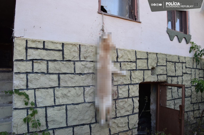 FOTO: Pejsek zemřel poté, co se snažil dostat ven, aby si zajistil jídlo a vodu. – stránka 2