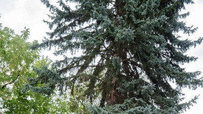 FOTO: Petr Pavel a Eva Pavlová navštívili Pardubický kraj.