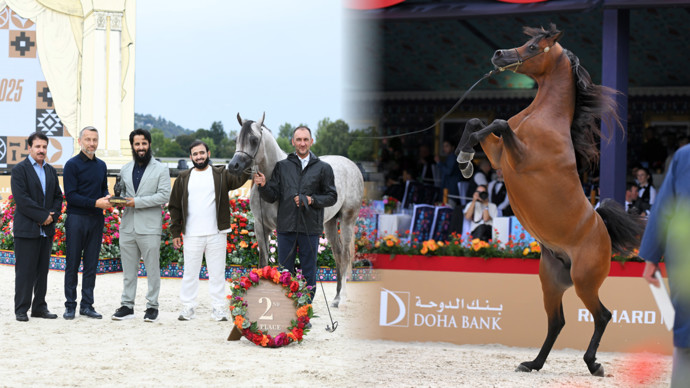 Foto k tématu GCAT PRAGUE – stránka 10