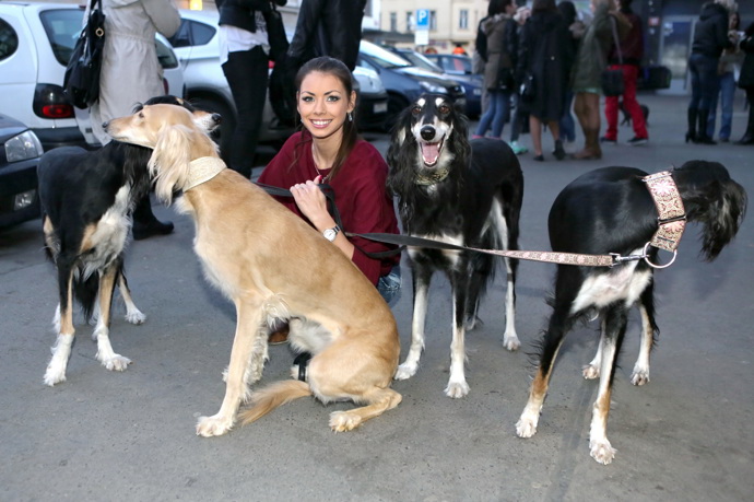 FOTO: Petra Pudová  je majitelkou několika perských chrtů neboli saluki a velmi úspěšné chovatelské stanice Al Zahra. – stránka 1