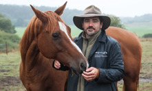 Vojta je obrovský milovník koní.