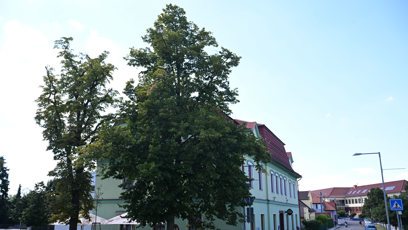 FOTO: Davidova nová restaurace U Jelena.