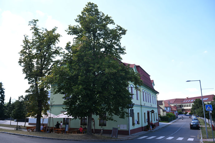 FOTO: Davidova nová restaurace U Jelena. – stránka 66