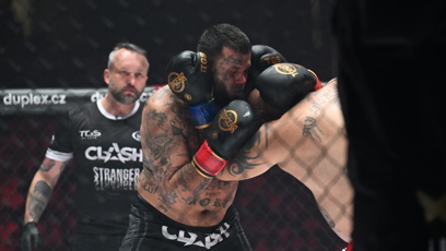 FOTO: Leo Beránek během zápasu.