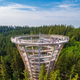 Úchvatná stezka korunami stromů v Krkonoších. 