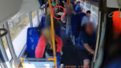 FOTO: Agresora zadržela policie, muž nadýchal přes dvě promile alkoholu.