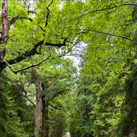 Veronika sdílela snímek ze společné procházky se synem.
