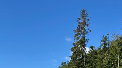 FOTO: Svatba kamarádky Nely Slovákové.