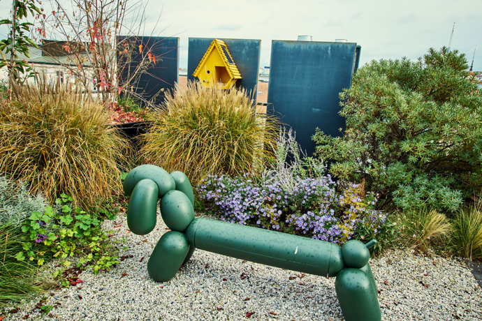 FOTO: Na zahradě kromě květin je i umění. – stránka 58