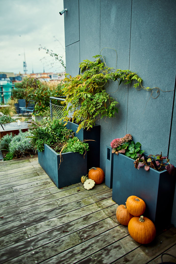 FOTO: Výzdoba v podobě dýní nemohla chybět. – stránka 57