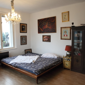 Pracovna slouží i jako příležitostná ložnice.