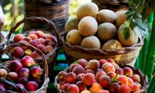 Nejlepším zdrojem cukrů je ovoce.