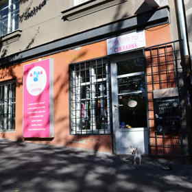 Navštívili jsme psí cukrárnu na Praze 3, jen kousek od Vinohradské nemocnice.