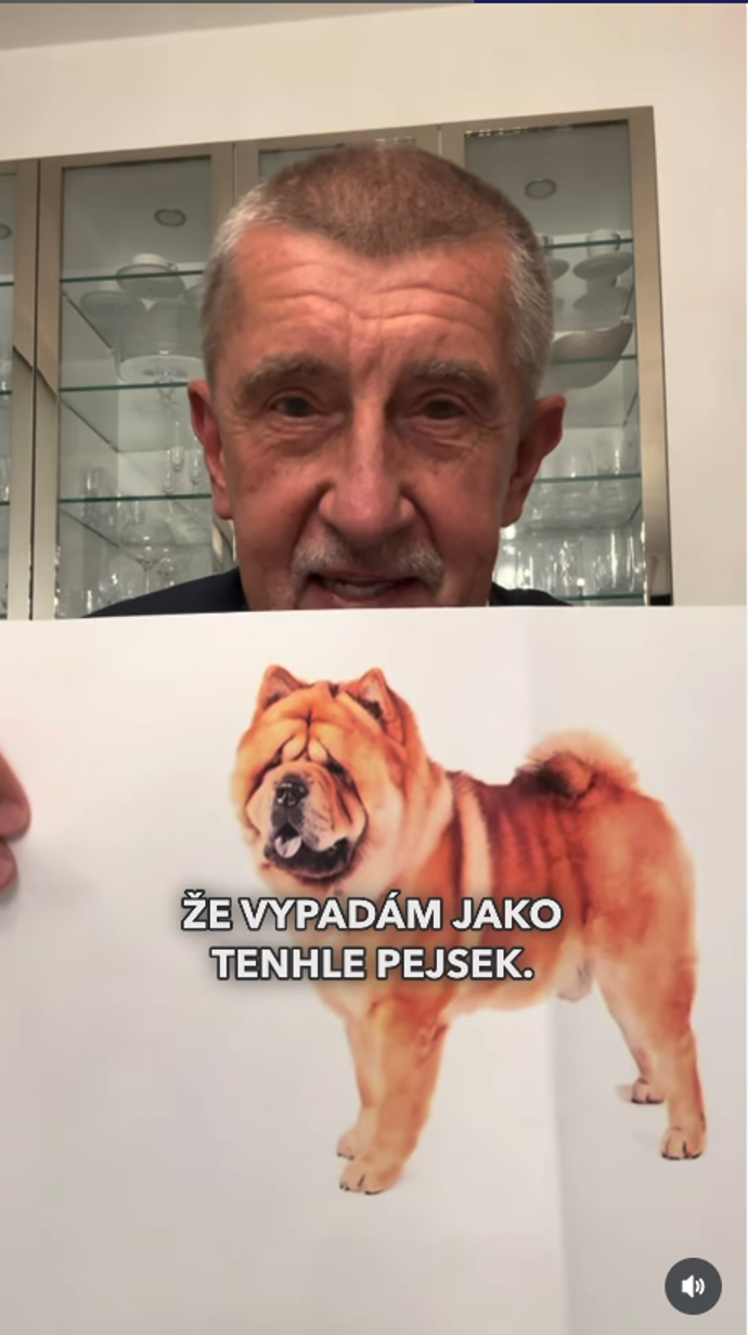FOTO: Andrej Babiš se přirovnal k psovi Čau Čau.