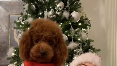 FOTO: Zemřela fenka zlatého retrívra, která byla přes 14 let plnohodnotný člen rodiny Babišových.