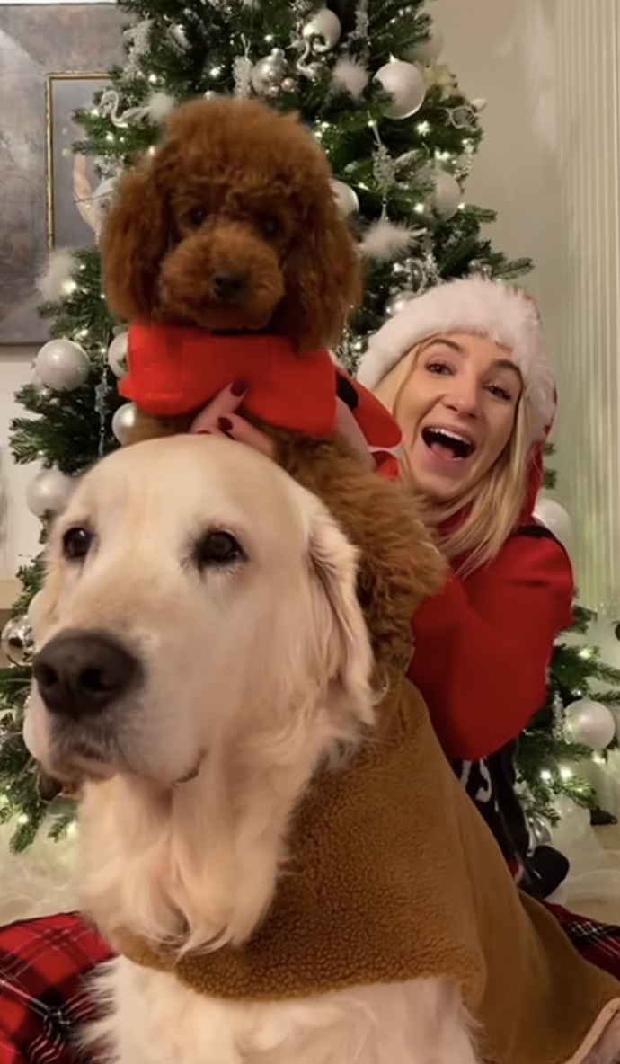 FOTO: Zemřela fenka zlatého retrívra, která byla přes 14 let plnohodnotný člen rodiny Babišových. – stránka 42