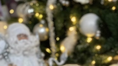 FOTO: Elinka se dožila čtrnácti let.