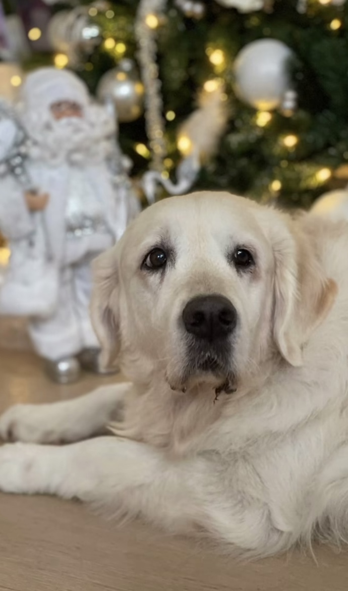 FOTO: Elinka se dožila čtrnácti let. – stránka 41