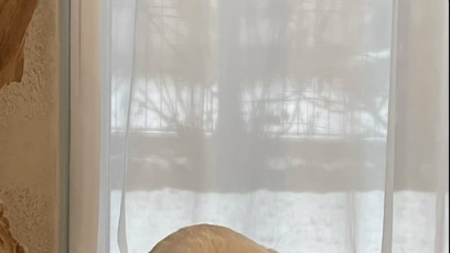 FOTO: Elinka rodině dělala radost.