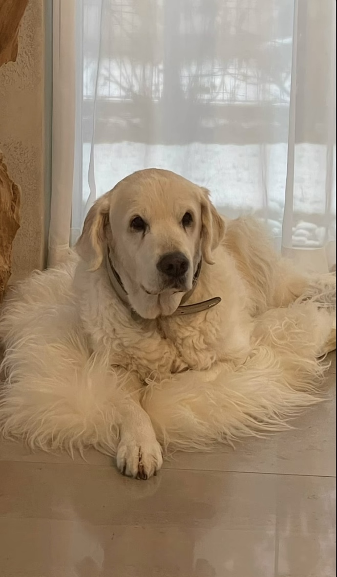 FOTO: Elinka rodině dělala radost. – stránka 40