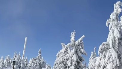 FOTO: Zemřela fenka zlatého retrívra, která byla přes 14 let plnohodnotný člen rodiny Babišových.