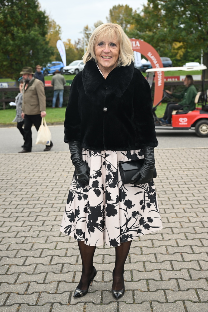 FOTO: Velká pardubická 2025. – stránka 71