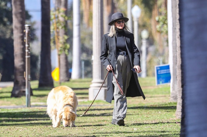 FOTO: Diane Keaton milovala zvířata. – stránka 5