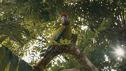 FOTO: nová technologie