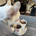 Pejsek Čenda dostal na zahřátí teplou deku a také misku s vodou. 