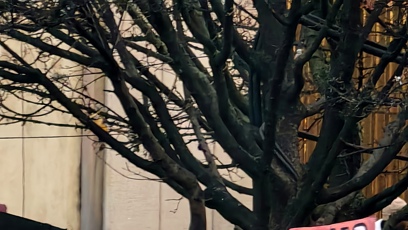 FOTO: Demonstrace pořádaná spolkem Milion chvilek pro demokracii.