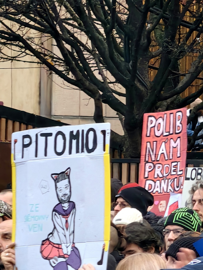 FOTO: Demonstrace pořádaná spolkem Milion chvilek pro demokracii. – stránka 13