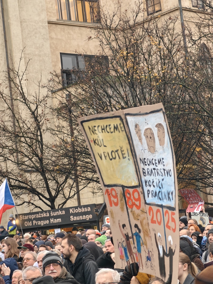 FOTO: Demonstrace pořádaná spolkem Milion chvilek pro demokracii. – stránka 2