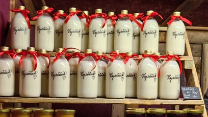 FOTO: Vánoční trhy na náměstí Míru.