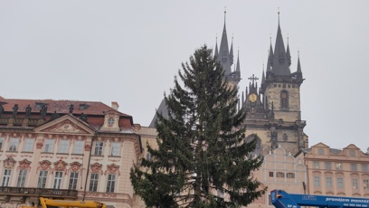 FOTO: Vánoční strom na Staroměstském náměstí.