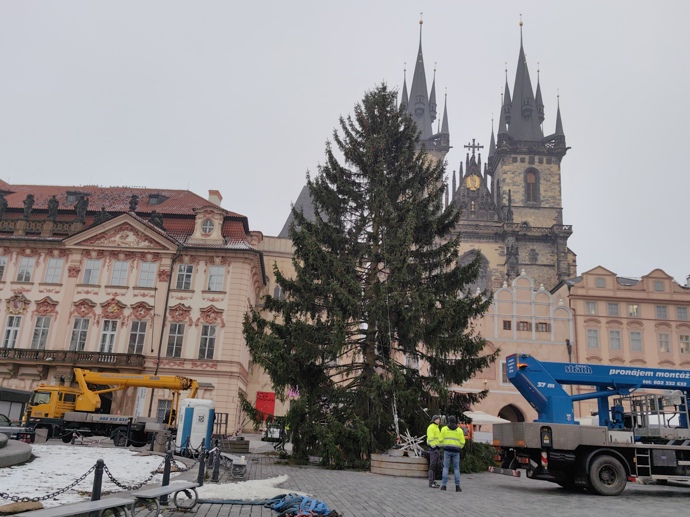 FOTO: Vánoční strom na Staroměstském náměstí. – stránka 22
