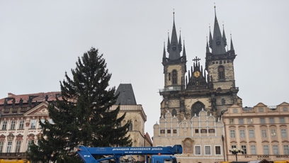 FOTO: Vánoční strom na Staroměstském náměstí.