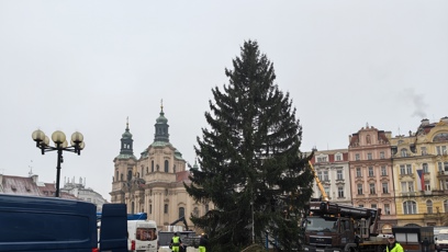 FOTO: Vánoční strom na Staroměstském náměstí.