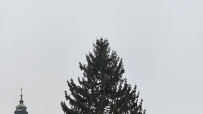 FOTO: Vánoční strom na Staroměstském náměstí.