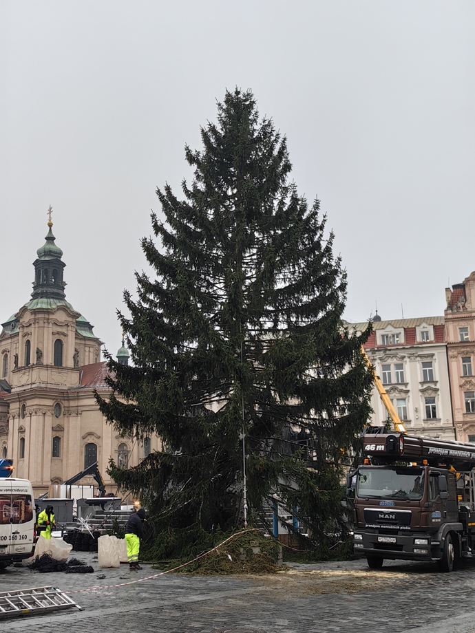 FOTO: Vánoční strom na Staroměstském náměstí. – stránka 18