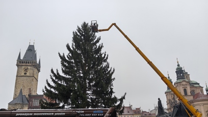 FOTO: Vánoční strom na Staroměstském náměstí.