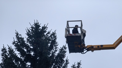 FOTO: Vánoční strom na Staroměstském náměstí.