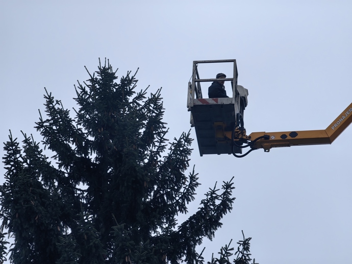 FOTO: Vánoční strom na Staroměstském náměstí. – stránka 15